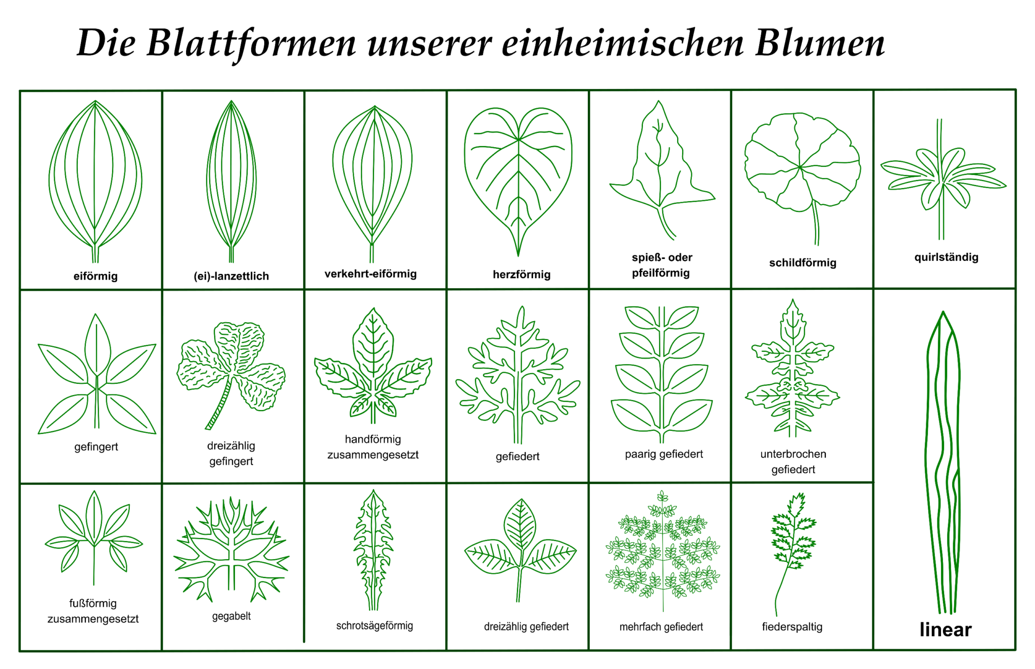 Downloads / Herunterladbare Inhalte – Blumen und Natur