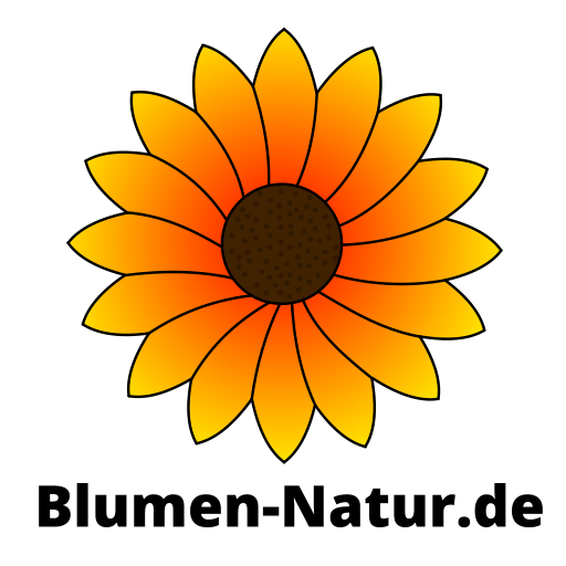 Blumen-Natur.de Onlineshop - Logo, orangene Blume mit brauner Mitte, darunter ein schwarzer Schriftzug mit Blumen-Natur.de