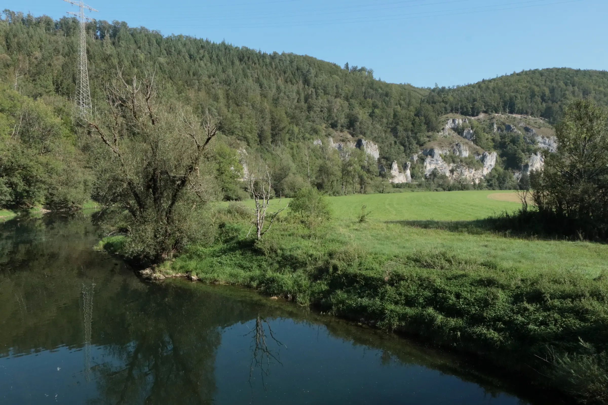 Beginn der Wanderung an der Donau - Die dunkel gefärbte Donau fließt von links nach rechts durch das Bild. Im Hintergrund sind die weißen Kalksteinfelsen zu erkennen.