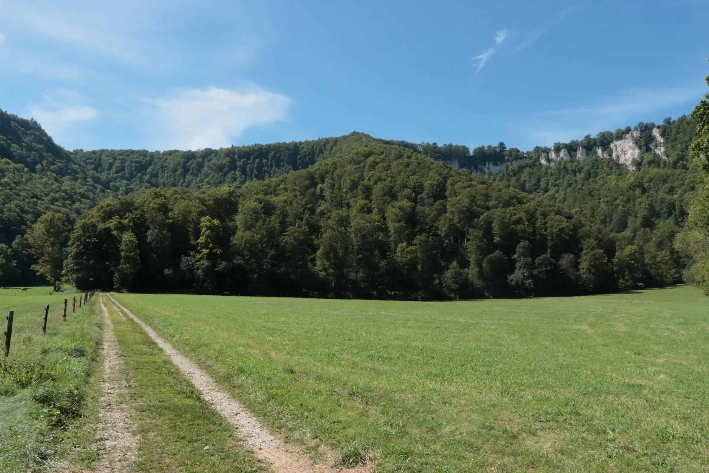 Wanderwege auf der Schwäbischen Alb - Weg zum Uracher Wasserfall im Wald