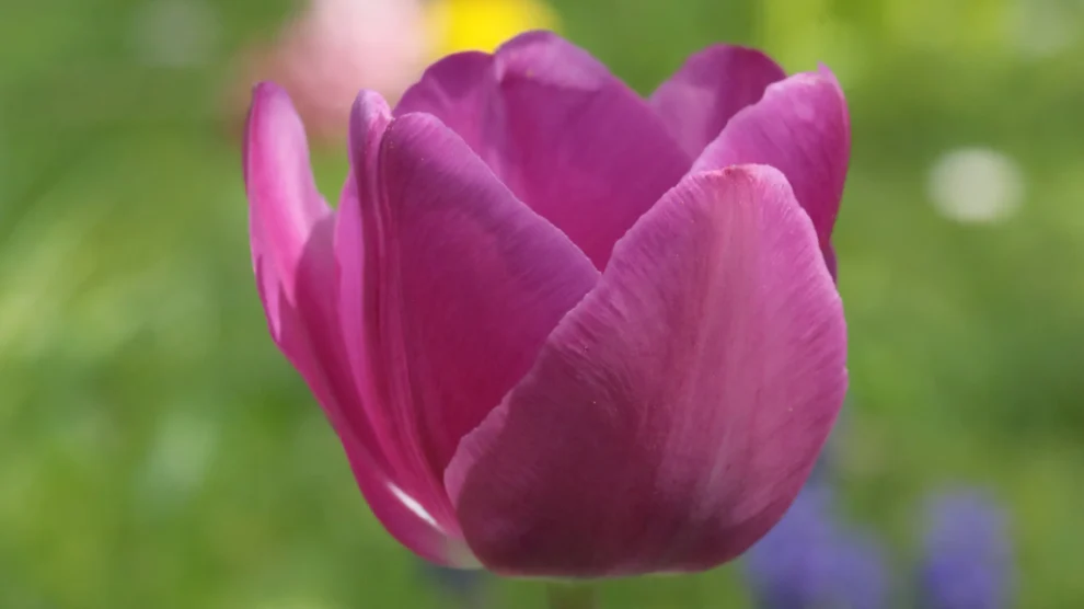 Einführung in die Sammlung