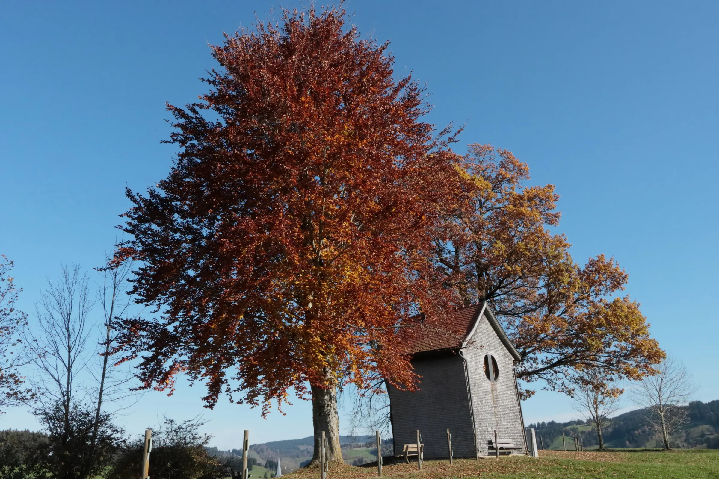 Die Pestkapelle über Stiefenhofen