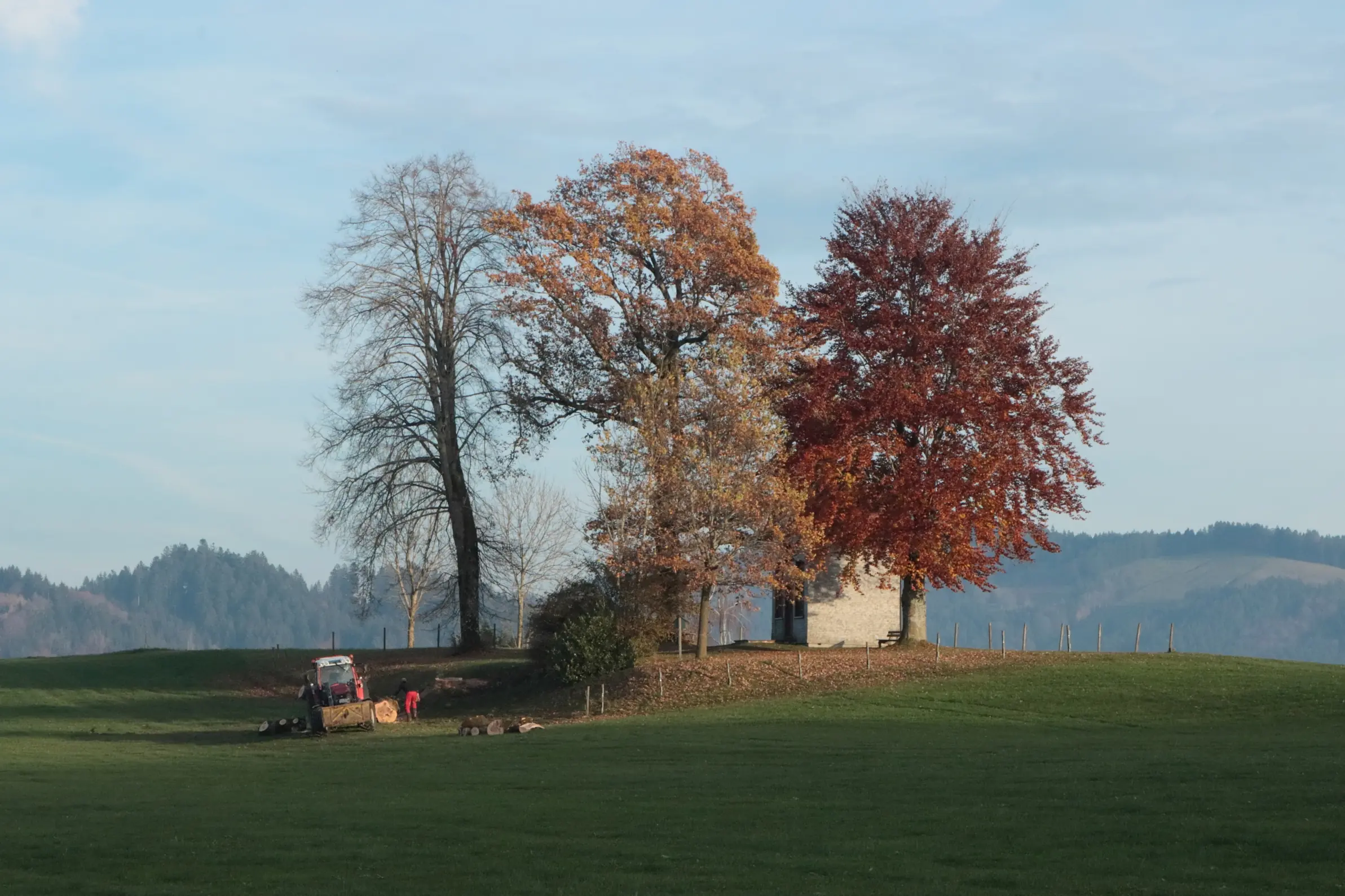 Ein Blick auf die Pestkapelle bei Stiefenhofen