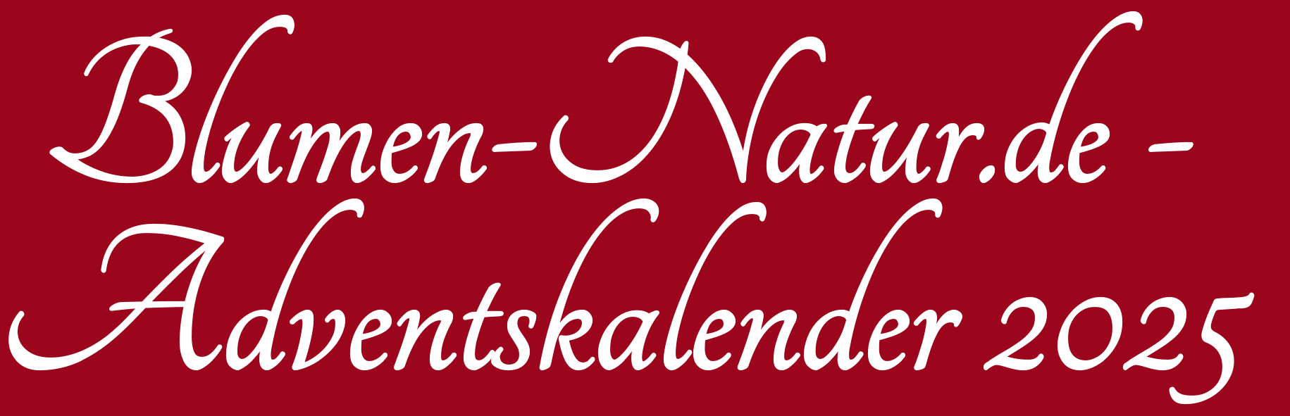 Adventskalender 2025